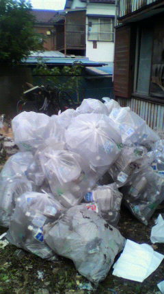 2010102916200001.jpg